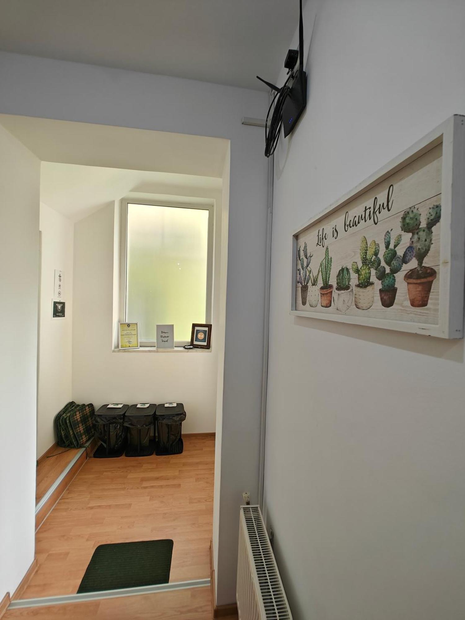 Transsylvanian Wolves Apartment Sibiu Exterior photo