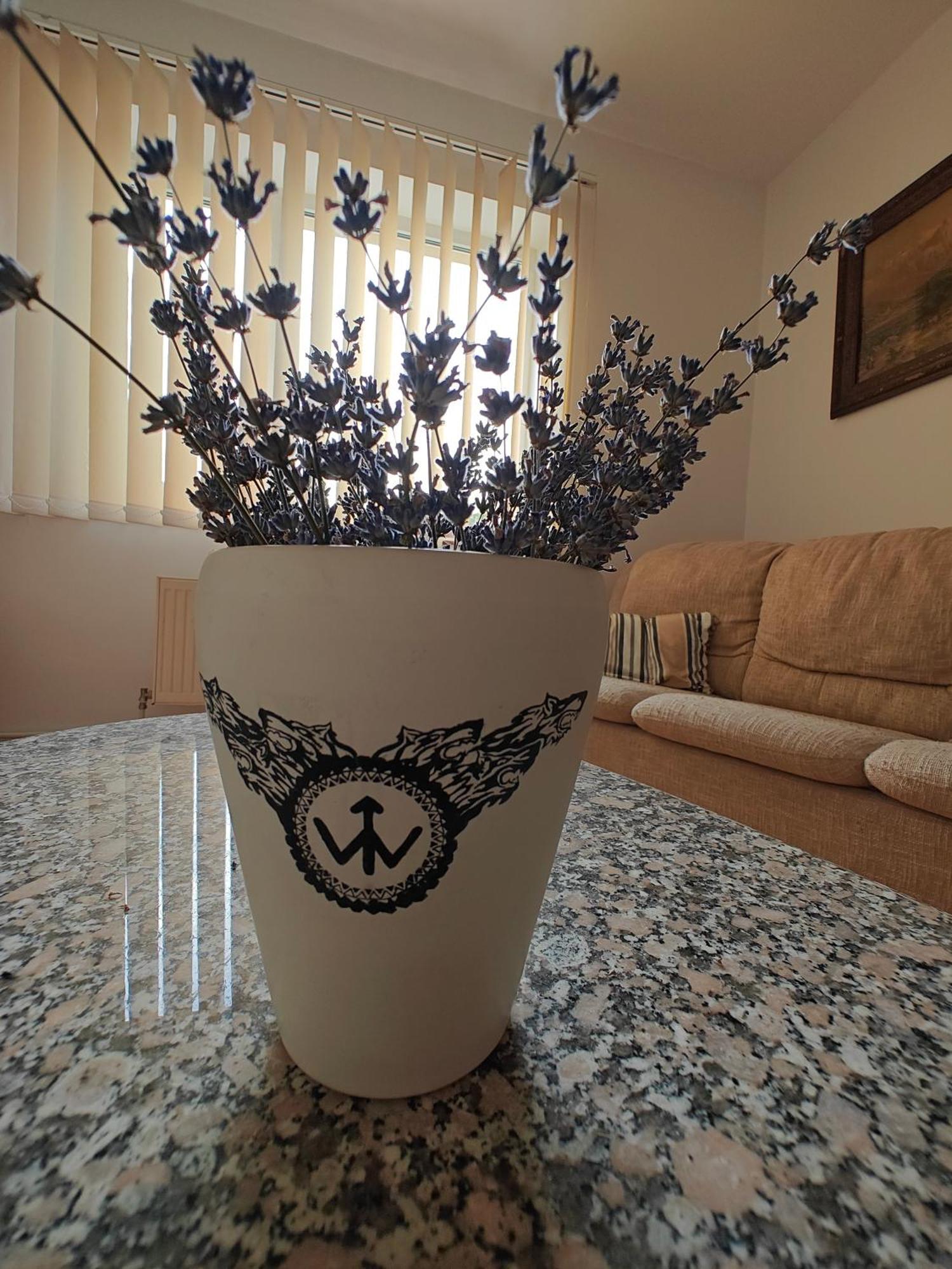 Transsylvanian Wolves Apartment Sibiu Exterior photo